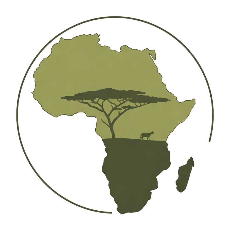 LED Display 24 Africa